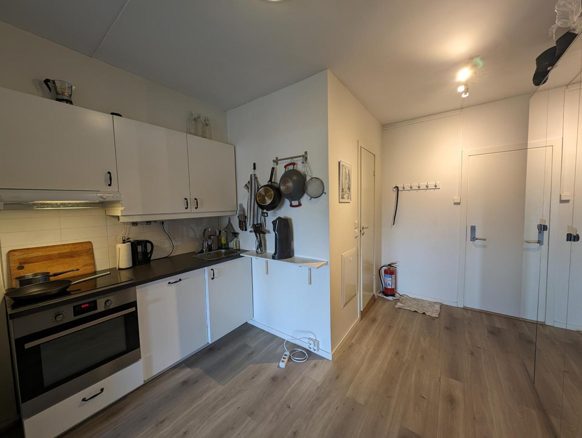 Spacious And Cozy Study Apartment With Balcony Oslo Exterior photo